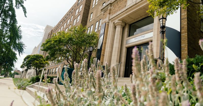 Mercy college blackboard hotsell